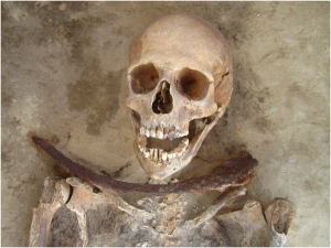 One of the Drawsko 'vampires', aka 'Individual 49/2012' a 30–39 year old female with a sickle placed across the neck (PLOS ONE)